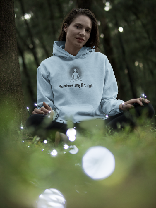 "Abundance is my Birthright" Positive Thought Brand Unisex Hoodie