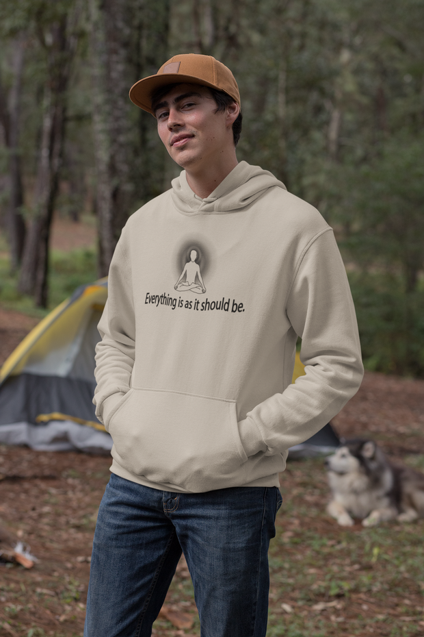 "Everything is as it should be" Positive Thought Brand Unisex Hoodie (Black Graphic)