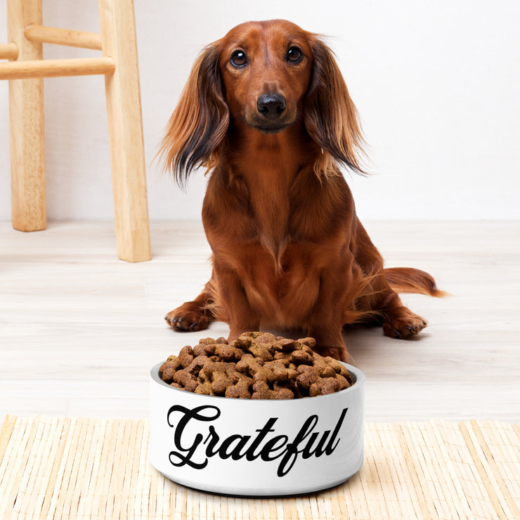 "Grateful" Pet Bowl