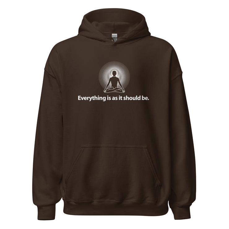 "Everything is as it should be." Positive Thought Brand Unisex Hoodie (White Graphic)