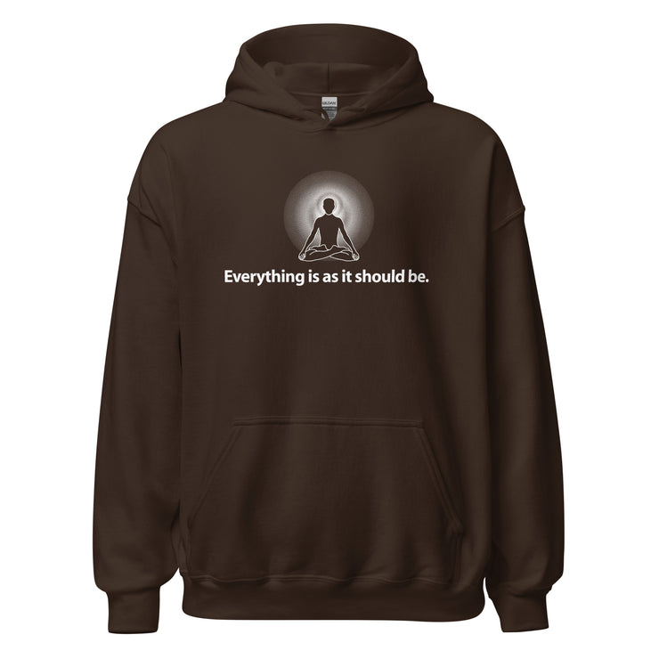 "Everything is as it Should Be" Positive Thought Brand Unisex Hoodie (White Graphic)