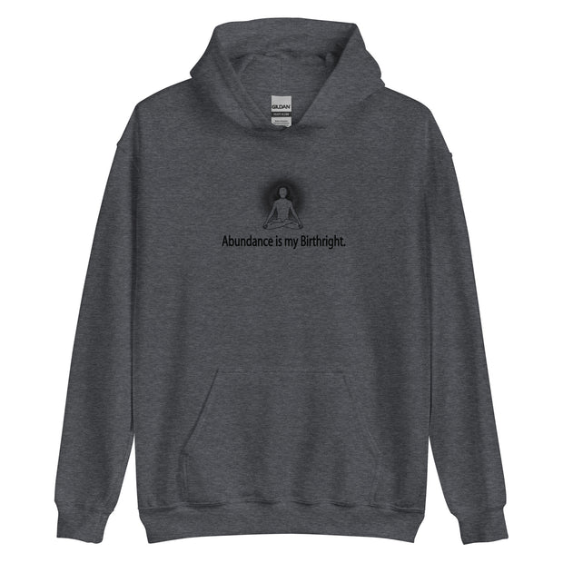 "Abundance is my Birthright" Positive Thought Brand Unisex Hoodie (Black Lettering)
