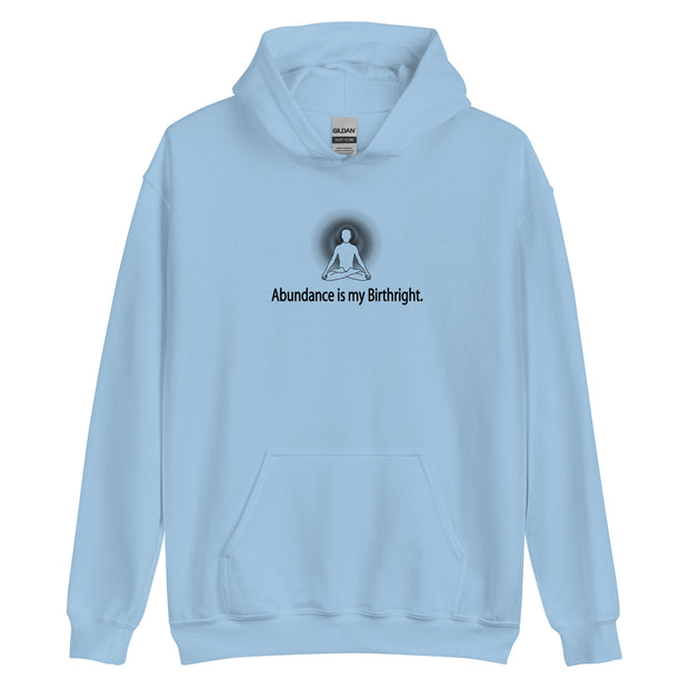 "Abundance is my Birthright" Positive Thought Brand Unisex Hoodie (Black Lettering)