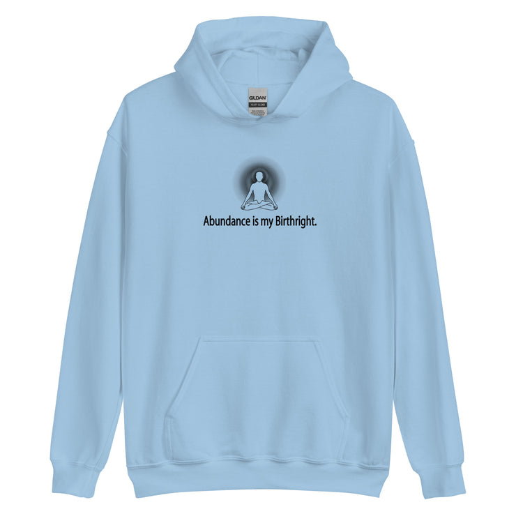 "Abundance is my Birthright" Positive Thought Brand Unisex Hoodie (Black Lettering)