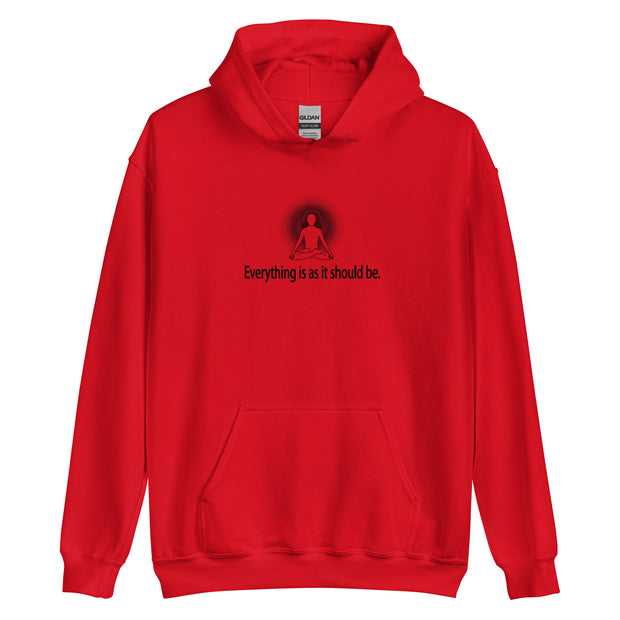 "Everything is as it should be" Positive Thought Brand Unisex Hoodie (Black Graphic)