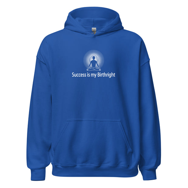 "Success is my Birthright" Positive Thought Brand Unisex Hoodie (White Graphic)