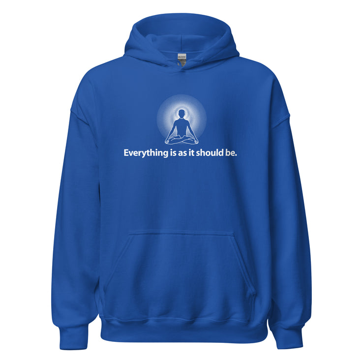 "Everything is as it Should Be" Positive Thought Brand Unisex Hoodie (White Graphic)