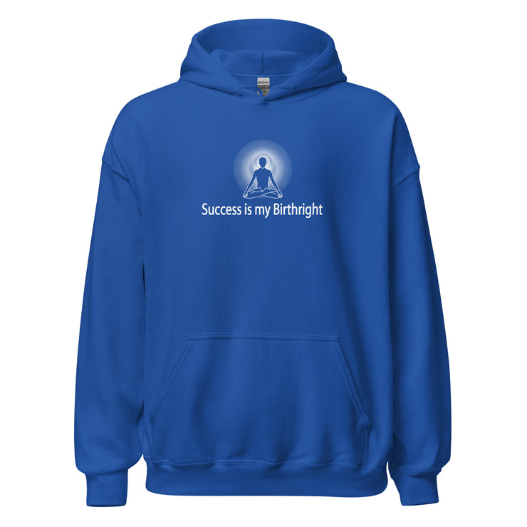 "Success is my Birthright" Positive Thought Brand Unisex Hoodie