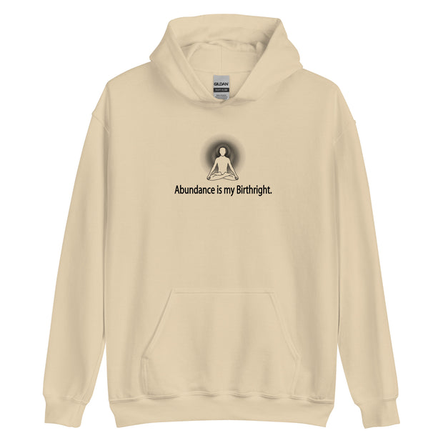 "Abundance is my Birthright" Positive Thought Brand Unisex Hoodie (Black Lettering)