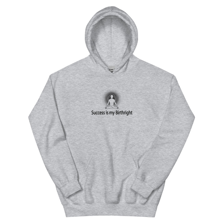 "Success is my Birthright" Positive Thought Brand Unisex Hoodie (Black Graphic)