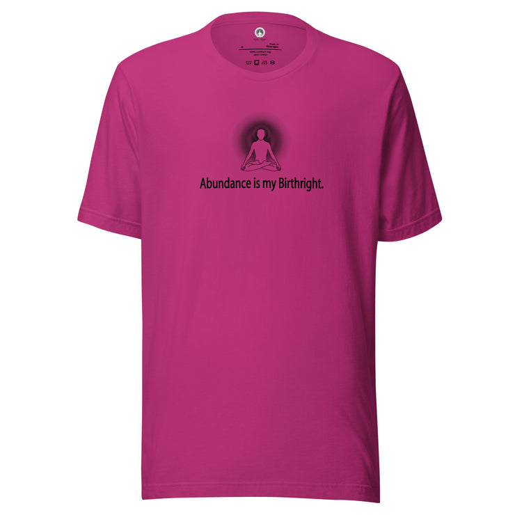 "Abundance is my Birthright" Positive Thought Brand Unisex T-Shirt (Black Graphic)