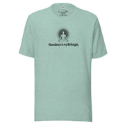 "Abundance is my Birthright" Positive Thought Brand Unisex T-Shirt (Black Lettering)