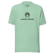 "Abundance is my Birthright" Positive Thought Brand Unisex T-Shirt (Black Lettering)
