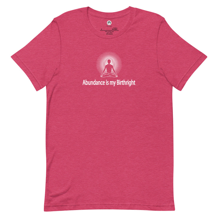 "Abundance is my Birthright" Positive Thought Brand Unisex T-Shirt (White Graphic)