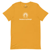 "Abundance is my Birthright" Positive Thought Brand Unisex T-Shirt (White Graphic)