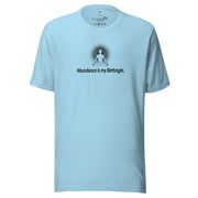 "Abundance is my Birthright" Positive Thought Brand Unisex T-Shirt (Black Lettering)